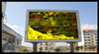 DUAL-COLOR OUTDOOR SERIES