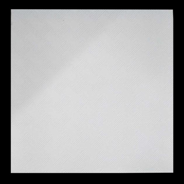 Firerated And Moixture Proof Ceiling Tile