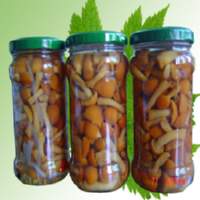 Canned Nameko
