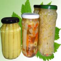Canned Vegetable (Salad)