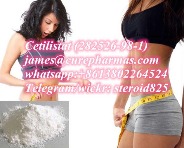 Orlistat L Carnitine Lorcaserin HCl T3