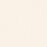 polished porcelain tile-soluble salt