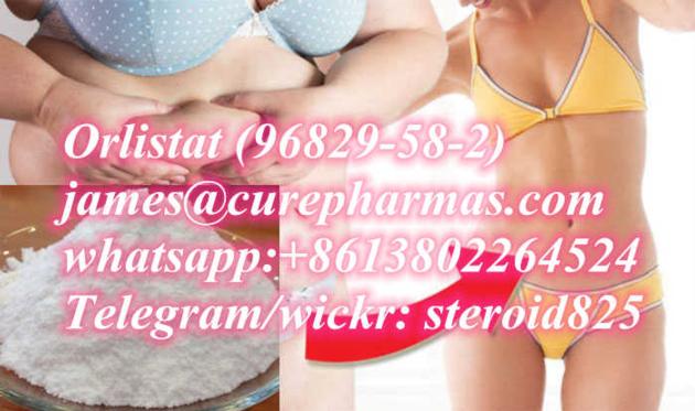 Orlistat,L-Carnitine,Lorcaserin HCl,T3,T4,for weight loss,james@curepharmas.com