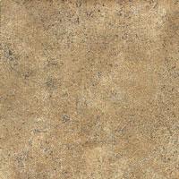Rustic porcelain tile
