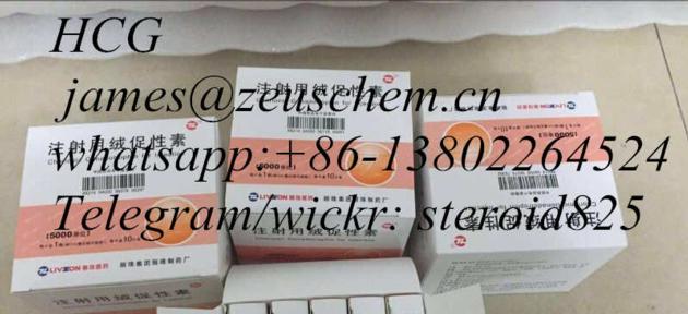 Sell Best HCG Human Chorionic Gonadotrophin