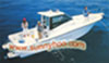 Panga Boat