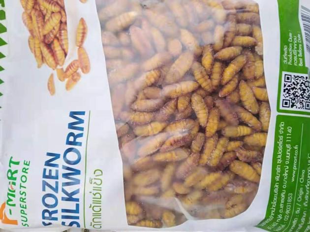 Frozen Silkworm