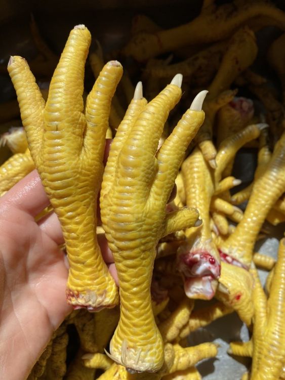 CHICKEN FEET 