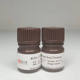 Recombinant Enzymes