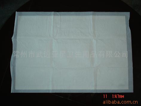 Disposable Pet Pad