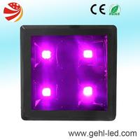 300w cob led grow light
