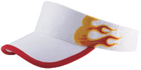 Sun Visor