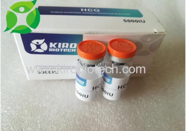 Human Chorionic Gonadotropin The highest 99% Purity 