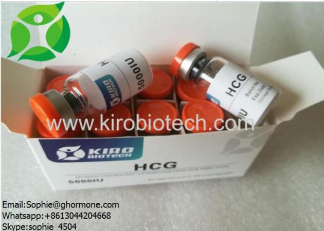 PEG-MGF Pure peptide Mechano Growth Factor