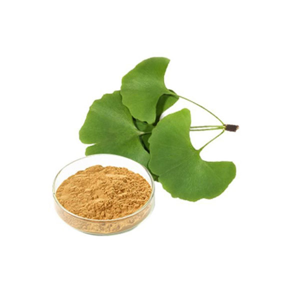 Ginkgo Biloba Extract