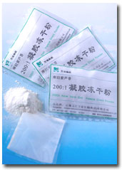 200:1 Aloe Vera Gel Freeze-Dried Powder