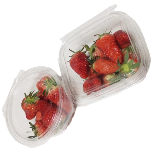 Clear Container With Lid PET Disposable
