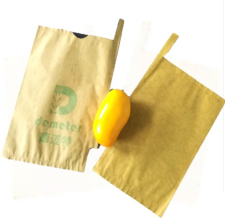 Double Layer Mango Fruit Bag Wax