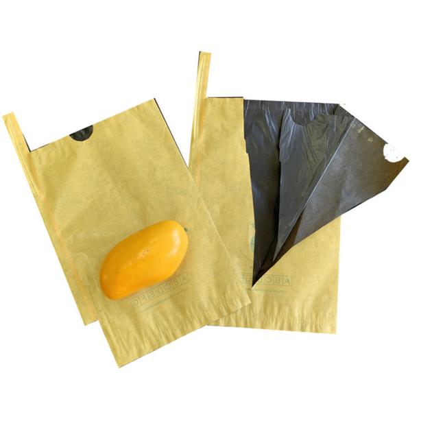 Double Layer Mango Fruit Bag Wax Coated Paper Fruit Protection Bags