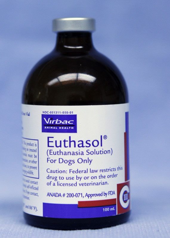 Buy nembutal pentobarbitalhttps://www.nembutalwarehouse.com/