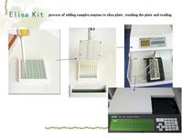 Human Inhibin,INH ELISA Kit