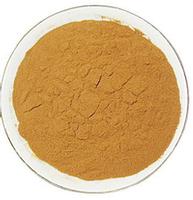 Green Tea Extract