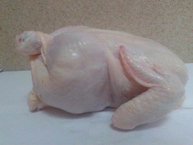 best quality halal chicken