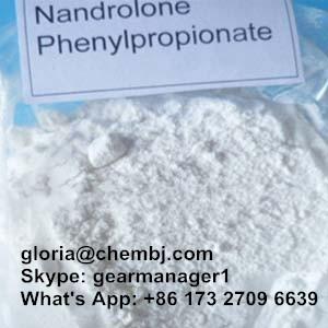 Npp Durabolin Nandrolone Phenylpropionate for Bodybuilder Supplement CAS 62-90-8
