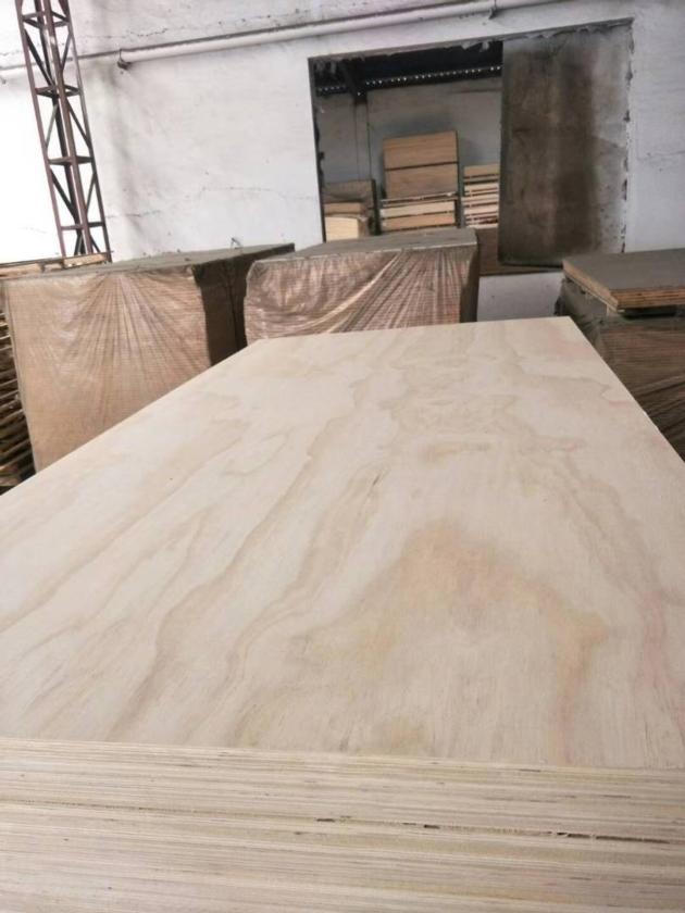 PLYWOOD PINE PLYWOOD FILM FACED PLYWOOD