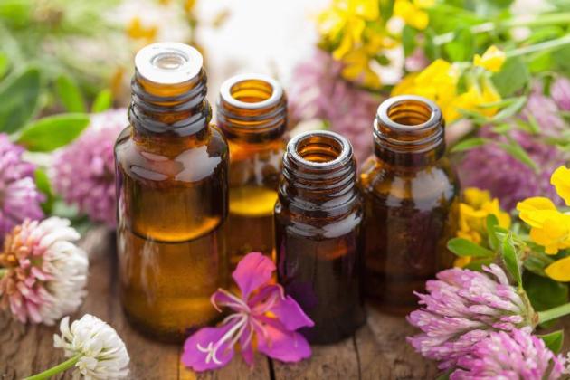 Premium Essential Oil - Best Prices