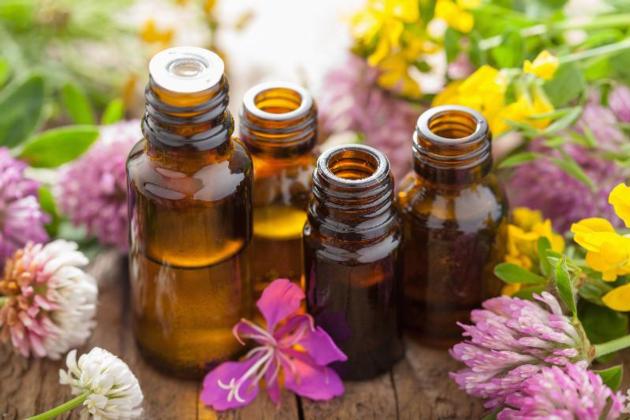 Premium Essential Oil - Best Prices