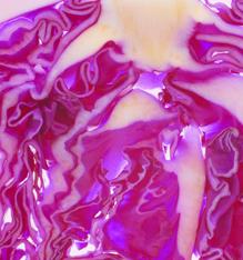 Red cabbage colours