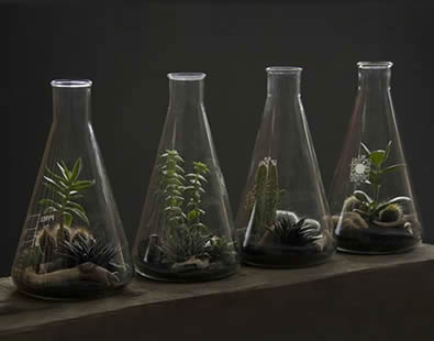 Laboratory Glassware