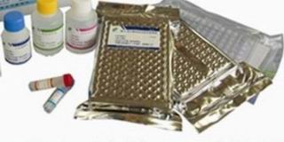 Anti-pseudorabies virus ge protein  ELISA kit