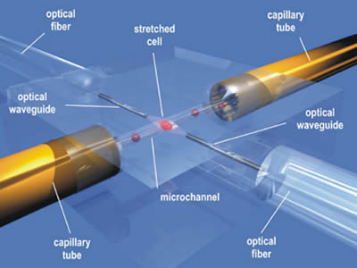 Precision Capillary Glass Tube