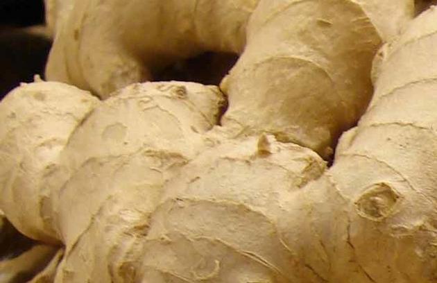 GINGER (ZINGIBER OFFICINALE)