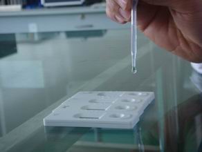 Anti-pseudorabies virus antibody rapid test kit