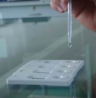 Rapid test card for E. coli O157