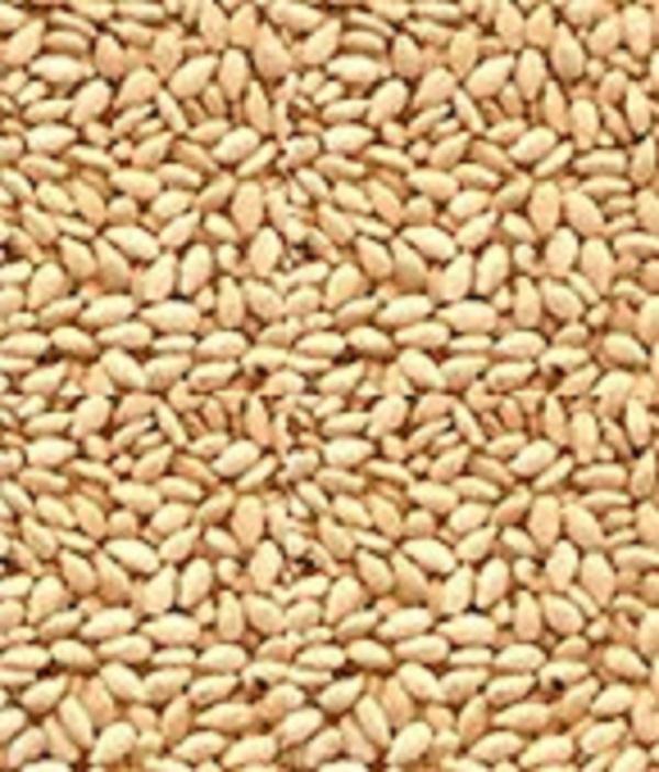 SESAME SEED (SESAMUM OR BENNISEED)