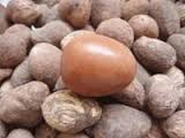 SHEA NUT (VITELLARIA)