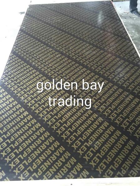 Marine plex plywood/shuttering plywood for middle east