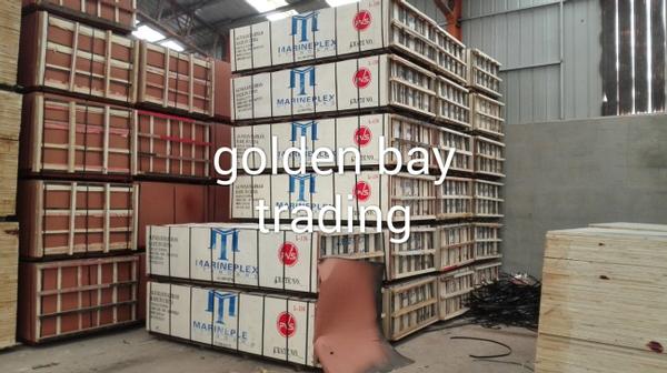 Marine plywood/shuttering plywood for OMAN SAUDI UAE