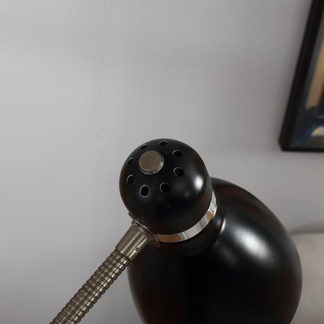 Adjustable Goose Neck Standing Lamp LED