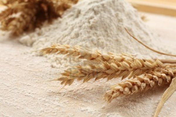 wheat flour