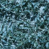 Tribulus terrestris Extract