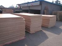 Poplar plywood,red-hardwood plywood,combi core plywood