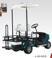 Electric Golf Carts 