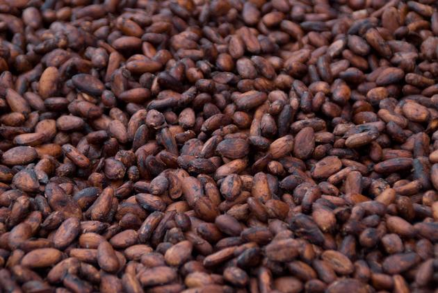 cocoa beans,NMO white and yellow maize