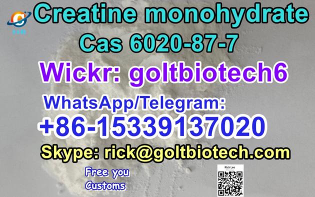Factory Price Creatine Monohydrate Cas 6020