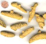 Ginger Extract